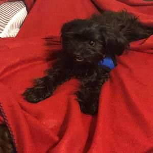 Meet your Posher, Kenneth